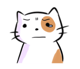 Cookie the Cutest Cat sticker #9944945