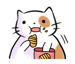 Cookie the Cutest Cat sticker #9944951
