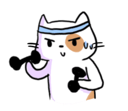 Cookie the Cutest Cat sticker #9944968