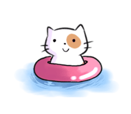 Cookie the Cutest Cat sticker #9944970