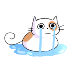 Cookie the Cutest Cat sticker #9944975