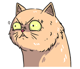 Angry Meow sticker #9945076