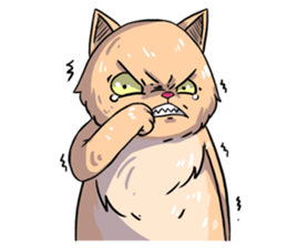 Angry Meow sticker #9945079