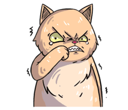 Angry Meow sticker #9945079