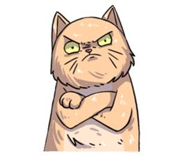 Angry Meow sticker #9945083
