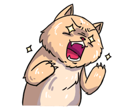 Angry Meow sticker #9945091