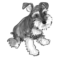 Schnauzer Lovers - Salt and Pepper sticker #9946181