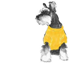 Schnauzer Lovers - Salt and Pepper sticker #9946209