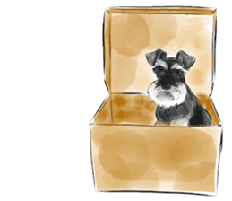 Schnauzer Lovers - Salt and Pepper sticker #9946210