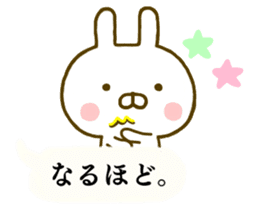 Rabbit Usahina Balloon sticker #9946660
