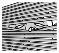 Something like squid sticker #9946878