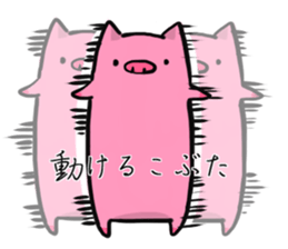 Shy shoat sticker #9947558