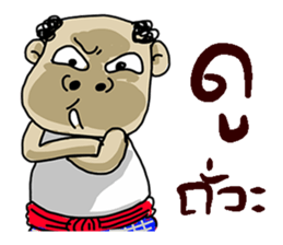 Korat 13 sticker #9949861