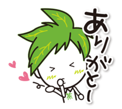 Machakichi Kyoto Uji born Matcha sticker #9950896