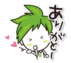 Machakichi Kyoto Uji born Matcha sticker #9950896