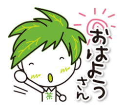 Machakichi Kyoto Uji born Matcha sticker #9950900