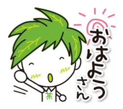 Machakichi Kyoto Uji born Matcha sticker #9950900