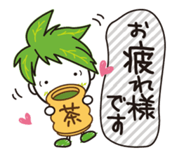 Machakichi Kyoto Uji born Matcha sticker #9950907