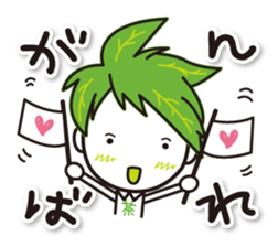 Machakichi Kyoto Uji born Matcha sticker #9950908