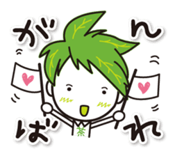 Machakichi Kyoto Uji born Matcha sticker #9950908