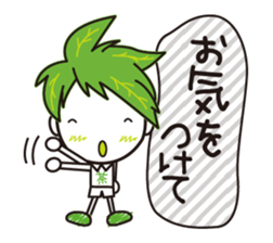 Machakichi Kyoto Uji born Matcha sticker #9950913