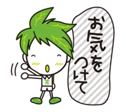 Machakichi Kyoto Uji born Matcha sticker #9950913