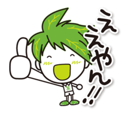 Machakichi Kyoto Uji born Matcha sticker #9950916