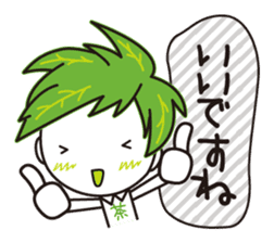 Machakichi Kyoto Uji born Matcha sticker #9950917