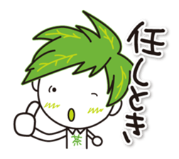 Machakichi Kyoto Uji born Matcha sticker #9950918