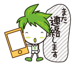 Machakichi Kyoto Uji born Matcha sticker #9950923