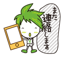 Machakichi Kyoto Uji born Matcha sticker #9950923