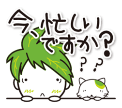 Machakichi Kyoto Uji born Matcha sticker #9950925