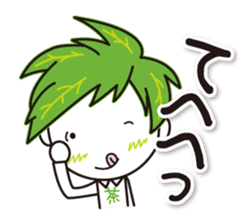 Machakichi Kyoto Uji born Matcha sticker #9950928