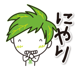 Machakichi Kyoto Uji born Matcha sticker #9950929