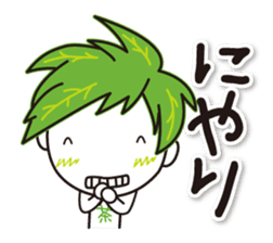 Machakichi Kyoto Uji born Matcha sticker #9950929