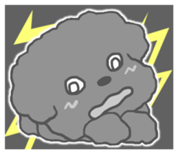 Small toy poodle sticker #9951950