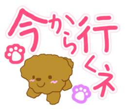 Small toy poodle sticker #9951956