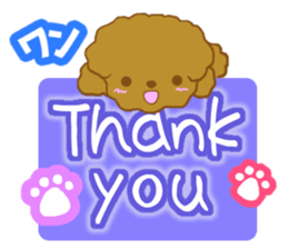 Small toy poodle sticker #9951965