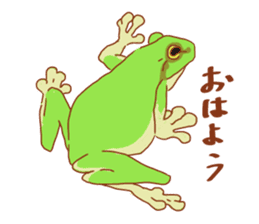 Frog and Toad Sticker sticker #9952065
