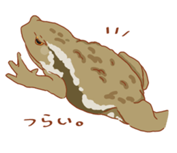 Frog and Toad Sticker sticker #9952066