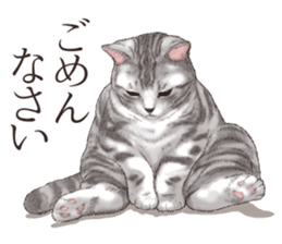 Strange pose cat[ASH] sticker #9952824