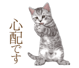 Strange pose cat[ASH] sticker #9952830