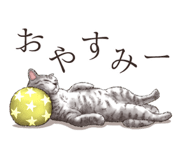 Strange pose cat[ASH] sticker #9952834
