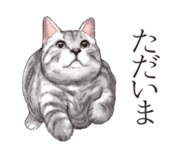 Strange pose cat[ASH] sticker #9952838