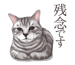 Strange pose cat[ASH] sticker #9952849