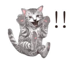 Strange pose cat[ASH] sticker #9952851