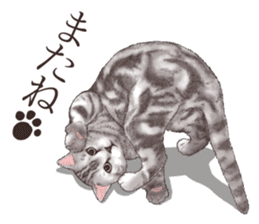 Strange pose cat[ASH] sticker #9952854