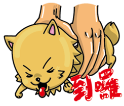 Chihuahua-Mushroom(2) sticker #9957190