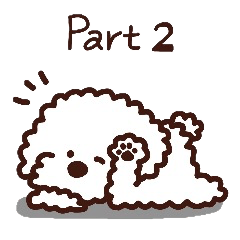 Toypoodle loafs around at home 2