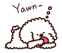 Toypoodle loafs around at home 2 sticker #9958477